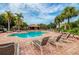 Community pool with palm trees, lounge chairs, patio area, and umbrellas for relaxing in the sun at 10263 Gandy N Blvd # 105, St Petersburg, FL 33702
