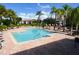 Community pool with lounge chairs, palm trees, and tile patio area for residents to enjoy in the sun at 10263 Gandy N Blvd # 105, St Petersburg, FL 33702