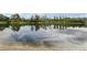 Scenic view of a tranquil pond reflecting the sky and surrounding trees in a relaxing natural setting at 20115 Nob Oak Ave, Tampa, FL 33647