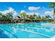 Community lap pool with palm trees and a building nearby at 20115 Nob Oak Ave, Tampa, FL 33647