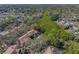 Aerial shot of charming townhomes surrounded by mature trees, offering a private and peaceful community at 3042 Branch Dr, Clearwater, FL 33760