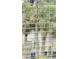 Fenced backyard at 3404 S Omar Ave, Tampa, FL 33629