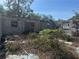 Image of the interior of a distressed single-story home with cinder block construction and overgrown landscaping at 342 Lettie Ln, Seffner, FL 33584