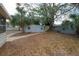 Spacious backyard showcasing the shed, mature trees, and foliage at 560 80Th N Ave, St Petersburg, FL 33702