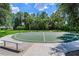 Community basketball court surrounded by lush grass and palm trees at 12906 Tar Flower Dr, Tampa, FL 33626