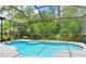 Inviting screened-in pool area with sparkling blue water and lush green landscaping for a private backyard oasis at 12906 Tar Flower Dr, Tampa, FL 33626