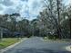 Peaceful neighborhood street showcasing well-maintained homes and mature trees lining the road at 375 Woods Landing Trl, Oldsmar, FL 34677