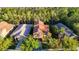 Aerial view of the property showing the lush green trees and surrounding neighborhood at 8264 Dunham Station Dr, Tampa, FL 33647