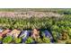 Aerial view showing the house in the middle of lush green trees at 8264 Dunham Station Dr, Tampa, FL 33647