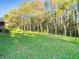 View of the green backyard showcasing the long row of trees providing natural privacy at 8264 Dunham Station Dr, Tampa, FL 33647