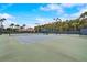 Well-maintained community tennis courts surrounded by lush landscaping and palm trees, with lighting for evening play at 8264 Dunham Station Dr, Tampa, FL 33647
