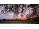 A sprawling ranch home and separate building, framed by bare tree branches and a fence, all basked in a warm, pink sunset at 10946 Gun Dog Way, Lithia, FL 33547