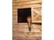 Close-up of a horse in the stable, highlighting the comfort and care provided at 10946 Gun Dog Way, Lithia, FL 33547