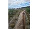 Experience the freedom of horseback riding with scenic views at 10946 Gun Dog Way, Lithia, FL 33547