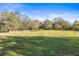 Expansive green pasture, perfect for livestock or recreation at 10946 Gun Dog Way, Lithia, FL 33547