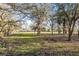 Expansive acreage with trees offering a serene, private setting at 10946 Gun Dog Way, Lithia, FL 33547