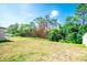 Large backyard with a mix of grass and trees, offering ample space for recreation at 14430 English Lavender Dr, Wimauma, FL 33598