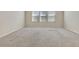 Bright living room featuring neutral walls, carpet, and three large windows at 3510 Brook Crossing Dr, Brandon, FL 33511