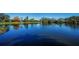 Beautiful lake reflecting a clear blue sky surrounded by trees and lush greenery at 150 Belleview Blvd # 307, Belleair, FL 33756