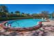 Inviting kidney-shaped pool features brick coping, privacy landscaping, and lounge seating for relaxation at 150 Belleview Blvd # 307, Belleair, FL 33756