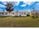 Spacious backyard featuring a well-maintained lawn, a mature palm tree, and a white trellis at 1517 Danbury Dr, Sun City Center, FL 33573
