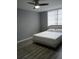 Comfortable bedroom with plank flooring, a ceiling fan, and bright windows at 2630 Pearce Dr # 103, Clearwater, FL 33764