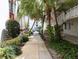 A walkway leads through the landscaped grounds and lush greenery of the community at 2630 Pearce Dr # 103, Clearwater, FL 33764
