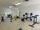 Fitness center with a variety of exercise equipment including treadmills, weights, and elliptical machines at 2757 Countryside Blvd # 103, Clearwater, FL 33761