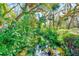 A peaceful creek and lush foliage, creating a serene backyard oasis surrounded by natural beauty at 13450 Wilcox Rd, Largo, FL 33774