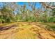 Spacious backyard with mature trees and lush greenery offers a serene outdoor retreat at 13450 Wilcox Rd, Largo, FL 33774
