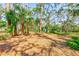 A lot with an abundance of gorgeous, mature palms, pines, and shady trees at 13450 Wilcox Rd, Largo, FL 33774