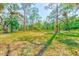 An expansive lot featuring mature trees and lush greenery is ready for development at 13450 Wilcox Rd, Largo, FL 33774