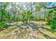 A lot with an abundance of gorgeous, mature palms, pines, and shady trees at 13450 Wilcox Rd, Largo, FL 33774