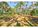 A lot with an abundance of gorgeous, mature palms, pines, and shady trees at 13450 Wilcox Rd, Largo, FL 33774