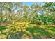 A grassy lot with an abundance of gorgeous, mature shady trees at 13450 Wilcox Rd, Largo, FL 33774