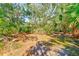 A lot with an abundance of gorgeous, mature palms, shady trees, and native grasses at 13450 Wilcox Rd, Largo, FL 33774