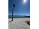 Beautiful beachfront view with a palm tree overlooking the tranquil water on a clear, sunny day at 5108 Brittany S Dr # 903, St Petersburg, FL 33715