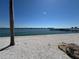 Peaceful water views from the condo community, accented by shade trees and a serene seating area at 5108 Brittany S Dr # 903, St Petersburg, FL 33715