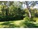 An expansive backyard featuring mature trees, green grass and native plants and landscaping at 8642 Mallard Reserve Dr # 203, Tampa, FL 33614