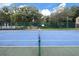 Enjoy a match on this well-maintained tennis court with clear skies overhead and lush green foliage surround at 8642 Mallard Reserve Dr # 203, Tampa, FL 33614