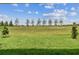 The home features a spacious backyard with a beautiful green lawn and a line of young trees at 11842 Richmond Trl, Parrish, FL 34219