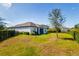 Large backyard boasts a grassy area, mature tree, and privacy hedge at 12031 Medley Ter, Lakewood Ranch, FL 34211