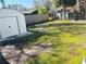 View of backyard with storage shed and grass at 1317 E Laura St, Plant City, FL 33563