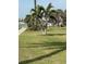 Beautifully maintained grassy area with various palm trees, offering a serene outdoor space at 1868 Shore S Dr # 608, South Pasadena, FL 33707