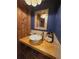 Vanity sink and wood paneled walls in the bathroom at 18886 Crescent Rd, Odessa, FL 33556