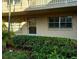 View of the back of the building with tidy garden space at 10033 64Th N Ave # 9, St Petersburg, FL 33708