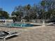 Inviting community pool surrounded by lounge chairs, perfect for relaxation and recreation at 128 Nancy Dr # 128, Oldsmar, FL 34677