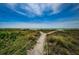 Sandy path leading to a beautiful beach, with lush greenery and clear blue skies at 1480 Gulf Blvd # 410, Clearwater Beach, FL 33767