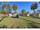 Wide view of the private backyard featuring green grass and mature palm trees, perfect for entertaining at 1905 S Hesperides St, Tampa, FL 33629