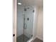 Newly renovated shower with glass door and tiled walls at 2413 Bayshore Blvd # 205, Tampa, FL 33629